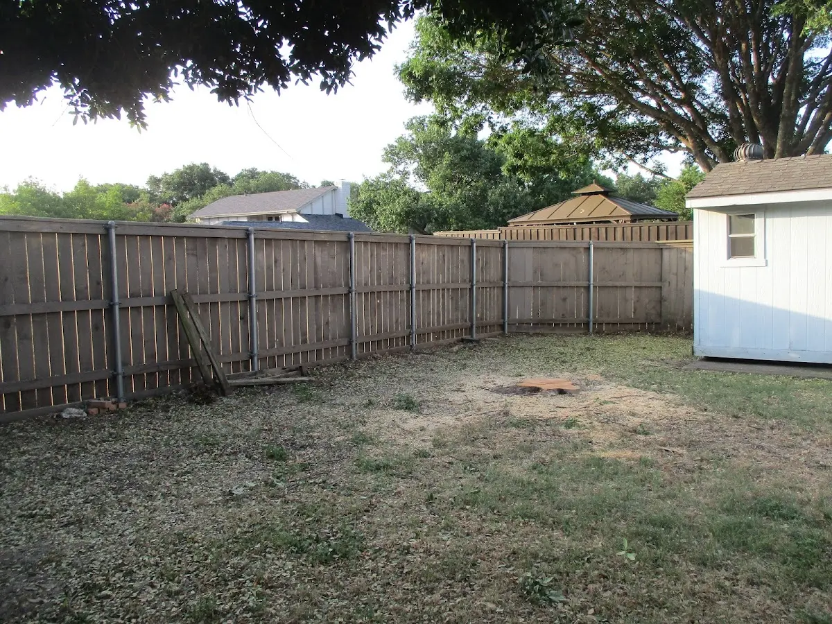 Cleared yard after professional tree removal in Widener